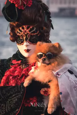 Máscara con perro en el Carnaval de Venecia 2023